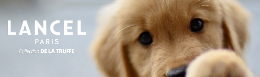 Déstockage collection de La Truffe de Lancel (Laisse Lancel en cuir pour chien en soldes...)