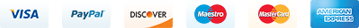 Logos moyens de paiements acceptés sur SoldeStock
